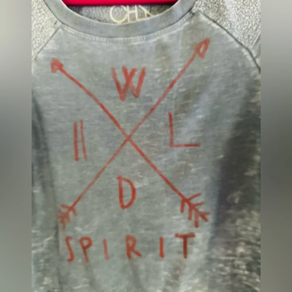 Chaser Wildfox Sweater Lightweight sweatshirt XS NWOT - Picture 3 of 4
